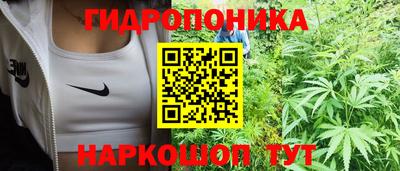 крисы Берёзовский