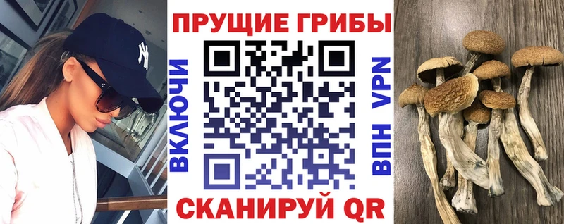 МЕГА tor  Верхняя Салда  Галлюциногенные грибы мухоморы  наркотики 