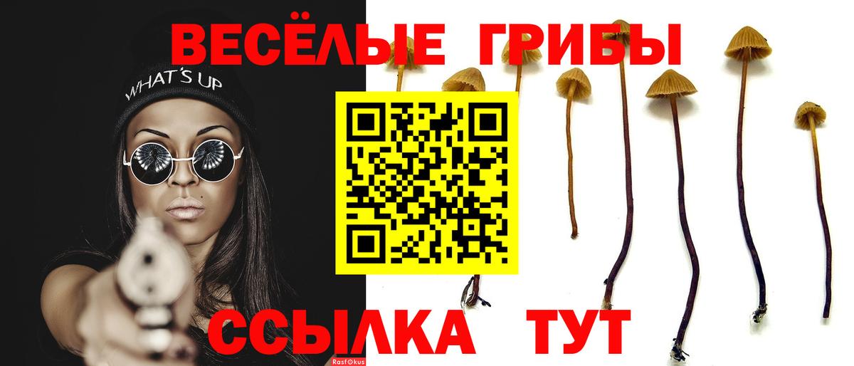 Галлюциногенные грибы ЛСД Верхняя Салда